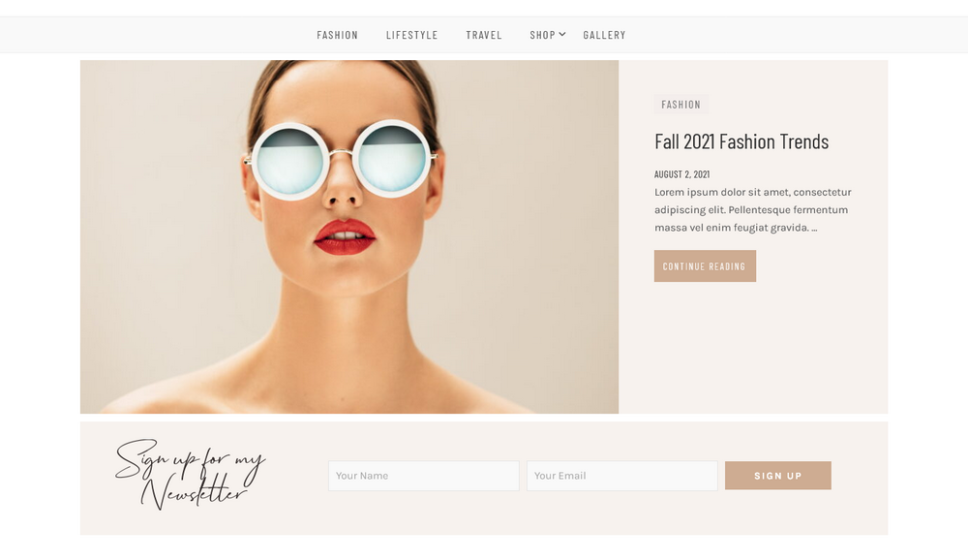 Newsletter Widget